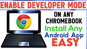 Chrome OS Developer APK?